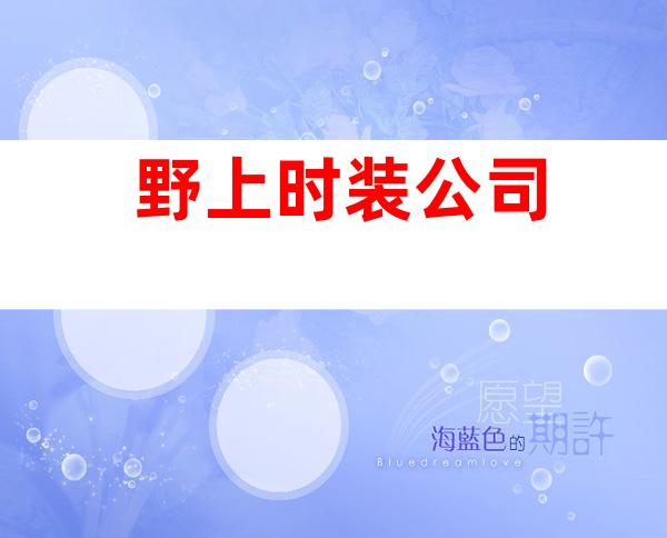 野上时装公司